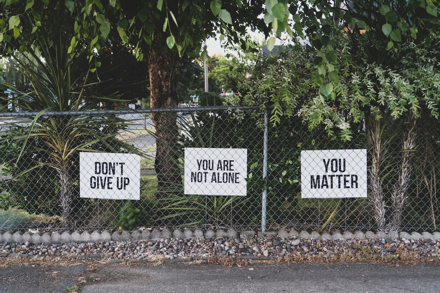 Finding Strength Through Community and Connection